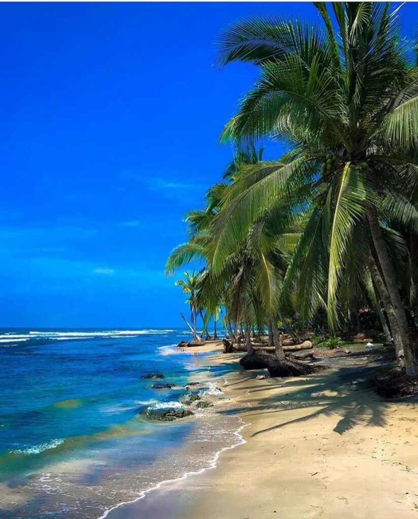 puerto viejo limon costa rica