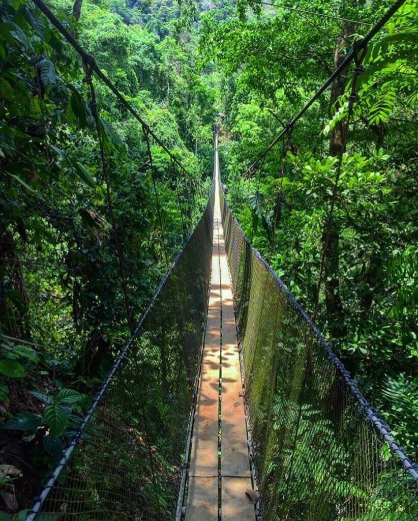 quebrada arroyo