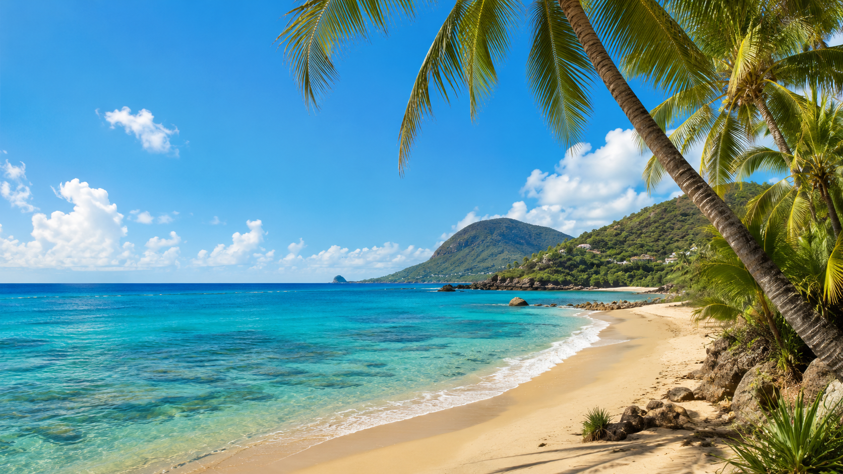Séjour en Martinique entre plages, nature tropicale et douceur caribéenne