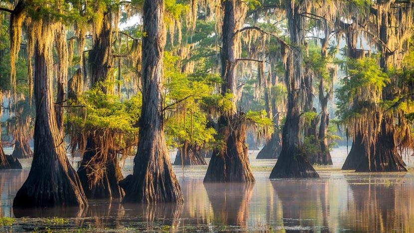 Texas et Louisiane
