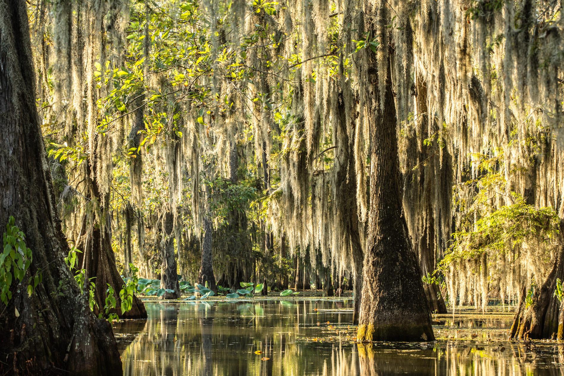 Texas et Louisiane